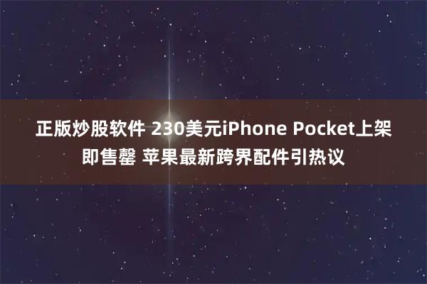 正版炒股软件 230美元iPhone Pocket上架即售罄 苹果最新跨界配件引热议